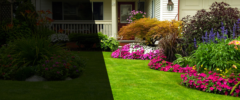 Yamhill Landscapers